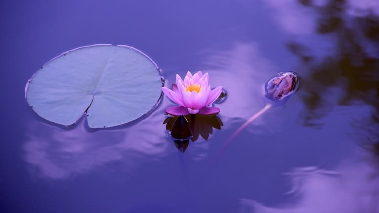 Ambient Mix For Meditation And Yoga